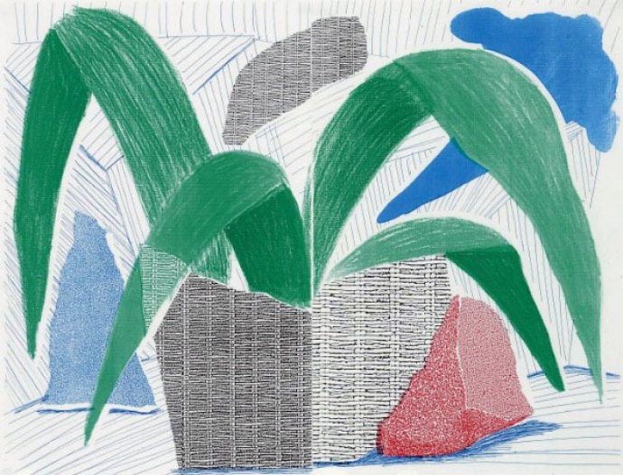 David Hockney - Grey and blue plant 1986